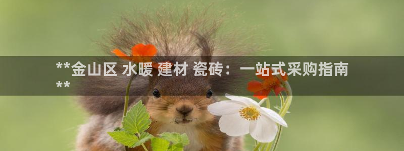 杏鑫注册登录代理