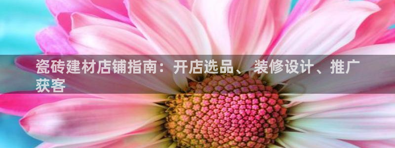 杏鑫平台招商怎么样