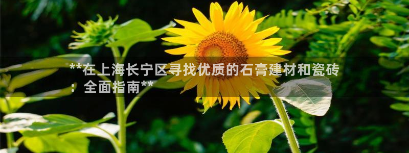 杏鑫娱乐是真的吗知乎