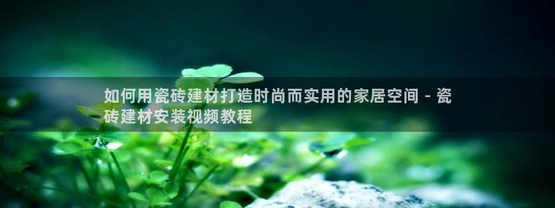 杏鑫平台注册地址