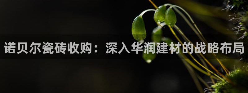 杏鑫平台是黑平台吗知乎