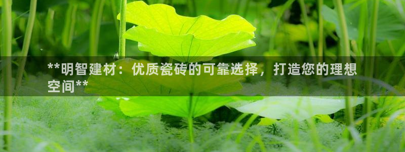 杏鑫官方平台怎么样啊安全吗
