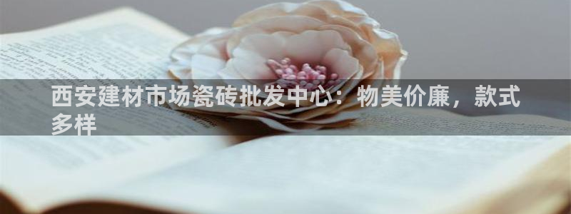 杏鑫娱乐开发团队
