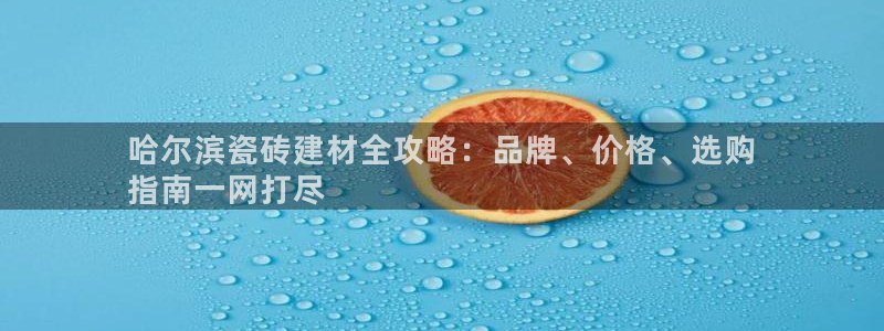 杏鑫平台注册入口