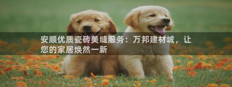 杏鑫手机客户端怎么下载