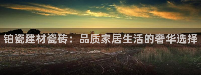杏鑫平台代理怎么样啊