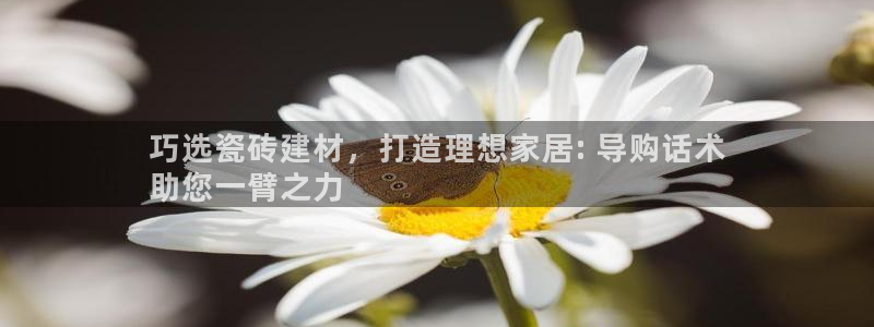 杏鑫有亏损返点吗