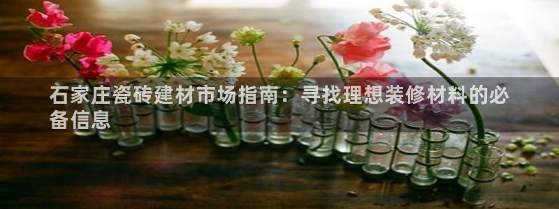 杏鑫娱乐开发团队