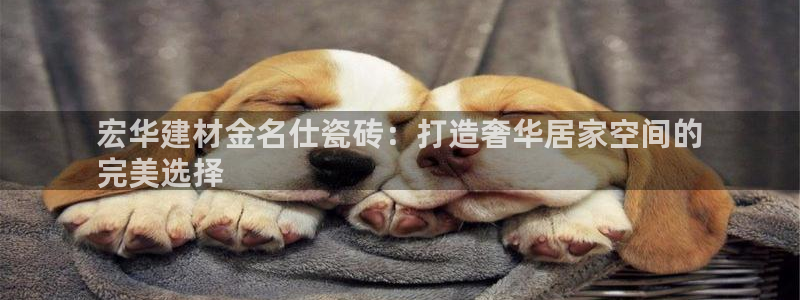 杏鑫平台测速怎么样