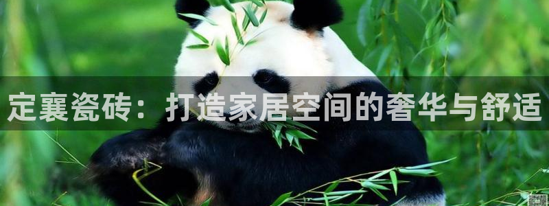 杏鑫注册平台官方网站是什么