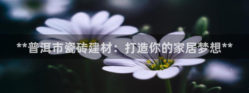 杏鑫官方平台怎么样啊