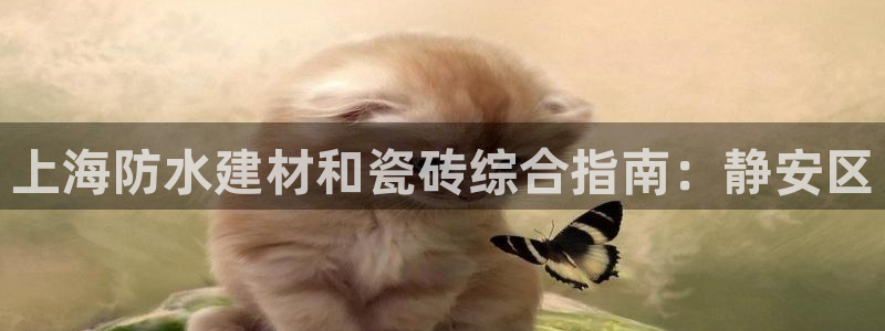 杏鑫平台在线注册怎么注册