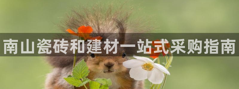 杏鑫平台登录地址是什么