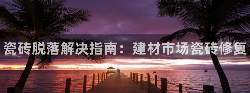 杏鑫招商总代