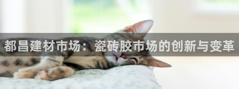 杏鑫平台招商怎么样啊