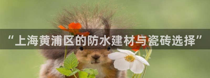 杏鑫娱乐是真的吗还是假的