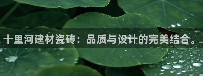 杏鑫平台怎么样黑钱吗知乎