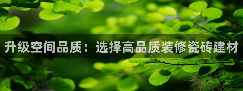 杏鑫平台正规吗可信吗