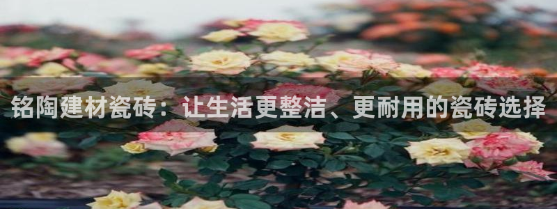 杏鑫平台怎么样黑钱吗安全吗可靠吗