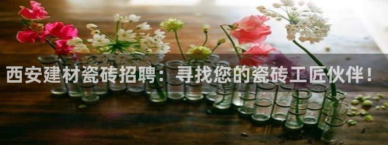 杏鑫平台招商怎么样可靠吗