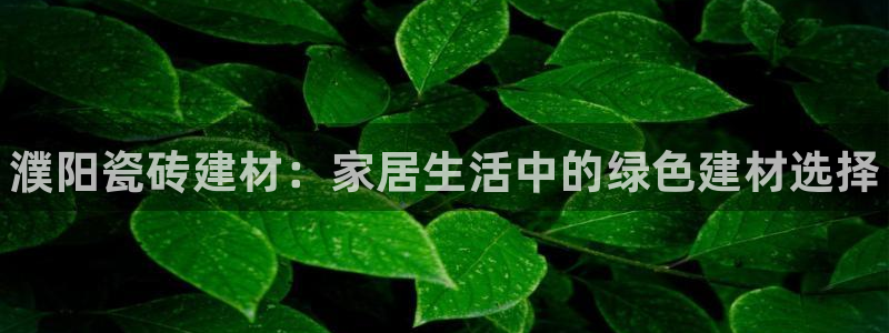 杏鑫官网注册账号是什么样的