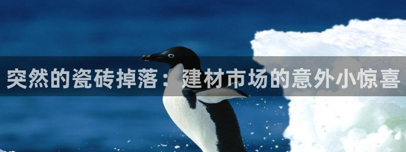 杏鑫平台招商电话是多少