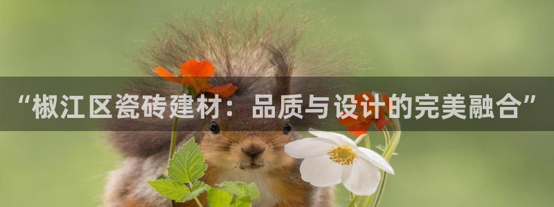 杏鑫平台怎么样黑钱吗安全吗可靠吗