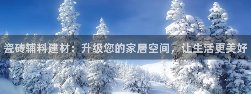 杏鑫代理注册平台