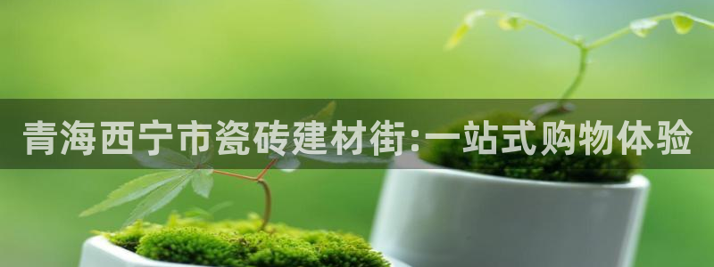 杏鑫平台念7O777