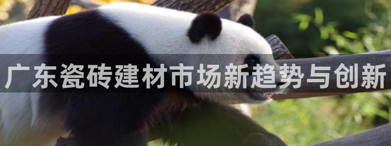 杏鑫平台注册地址在哪里