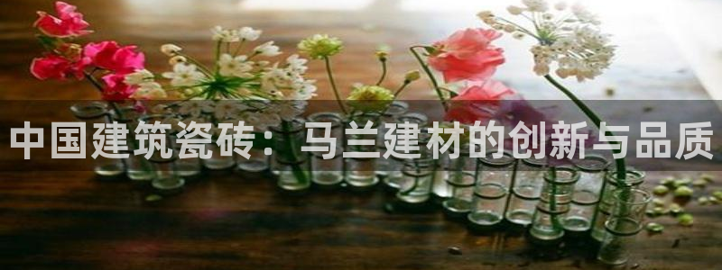 杏鑫平台代理怎么做