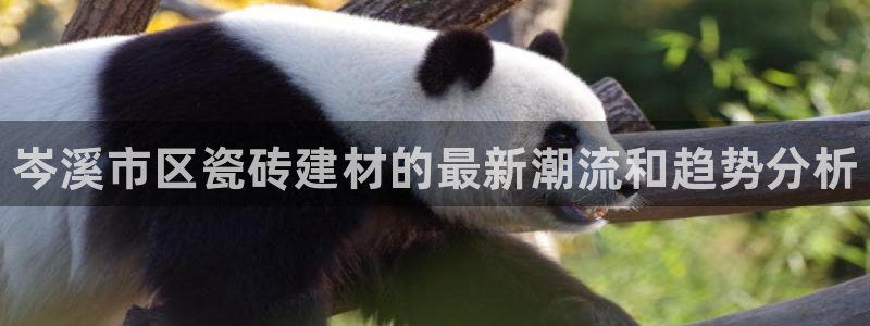 杏鑫平台在线注册