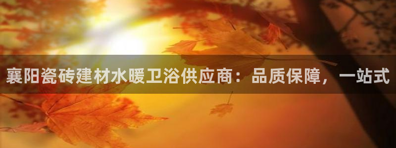 杏鑫官网最新信息