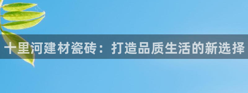 杏鑫平台代理注册流程图