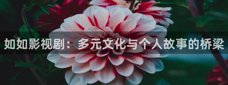 东风天龙旗舰：如如影视剧：多元文化与个人故事的桥梁