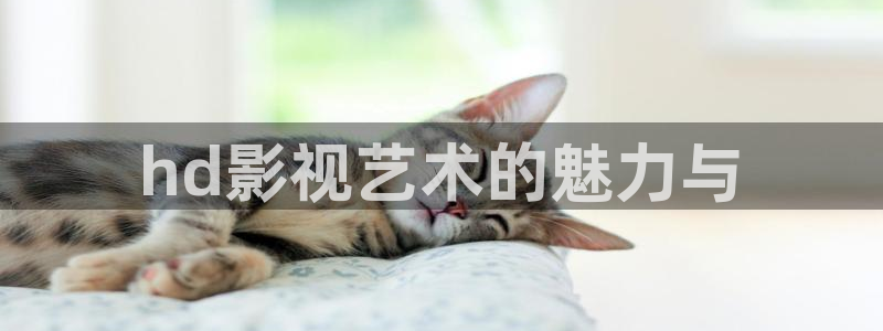 天龙家庭影院：hd影视艺术的魅力与