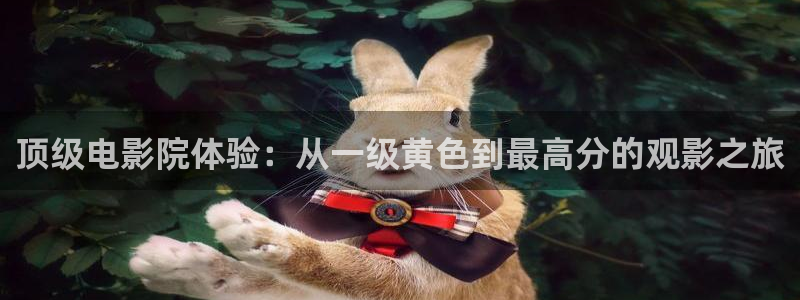 天龙影院电视剧免费观看2025：顶级电影院体验：从一级黄色到最高分的观影之旅