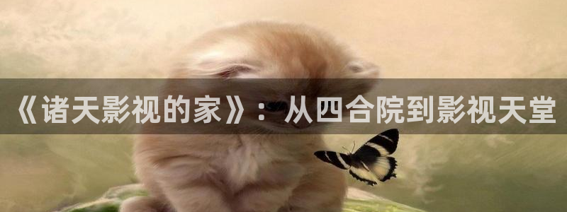 天龙高清影院电影首页：《诸天影视的家》：从四合院到影视天堂