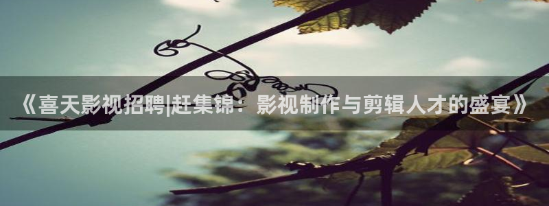 天龙高清手机影院：《喜天影视招聘|赶集锦：影视制作与剪辑人才的盛宴》