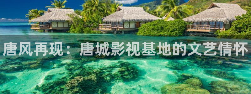 天龙影视2023：唐风再现：唐城影视基地的文艺情怀