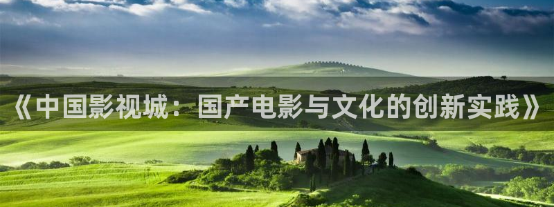 天龙2888：《中国影视城：国产电影与文化的创新实践》