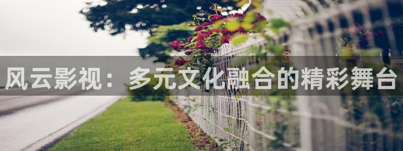 天龙电影院：风云影视：多元文化融合的精彩舞台